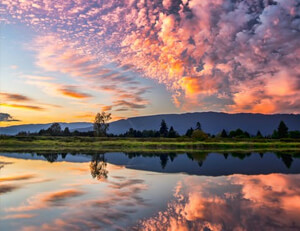 爬山比赛上中国队实力突出,夺得金牌