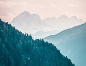 捕鱼比赛现场惊险刺激,选手争夺激烈